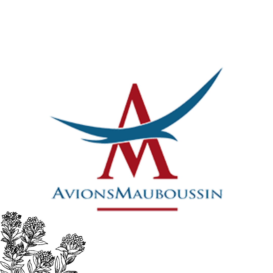 Avions Mauboussin